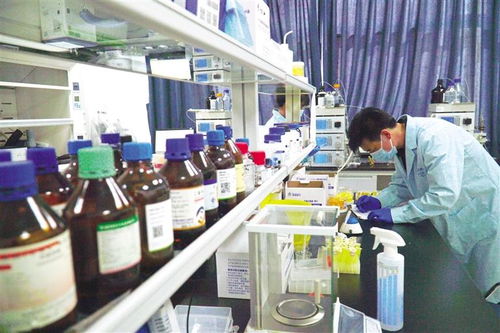 蘭州高新區(qū) 以項(xiàng)目化工程化推動(dòng)生物醫(yī)藥產(chǎn)業(yè)升級(jí)，加速打造百億級(jí)生物化工產(chǎn)業(yè)園區(qū)